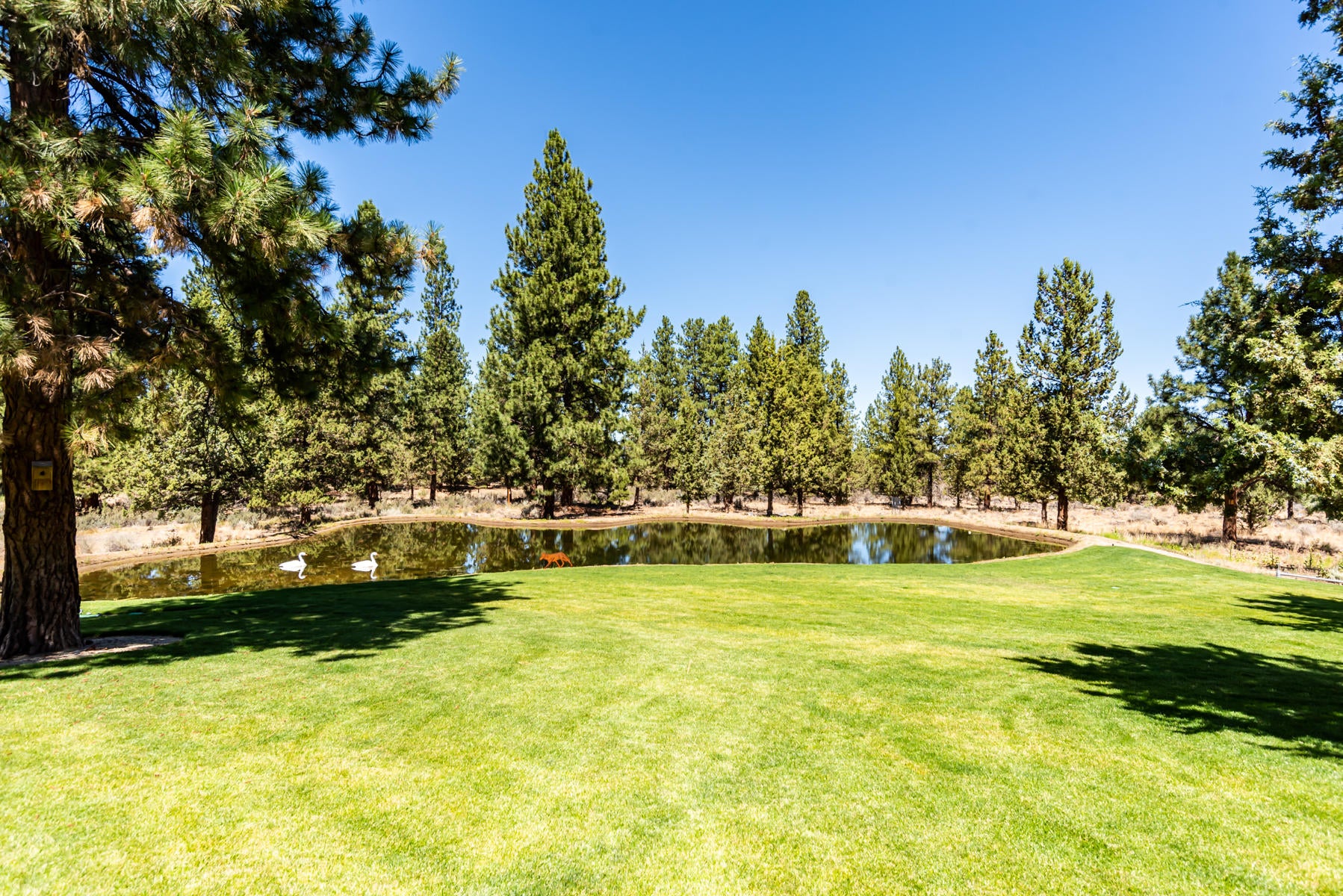 60540 Billadeau Road Bend, OR 97702 - Photo 30 of 39 31-Beautifully Treed Setting