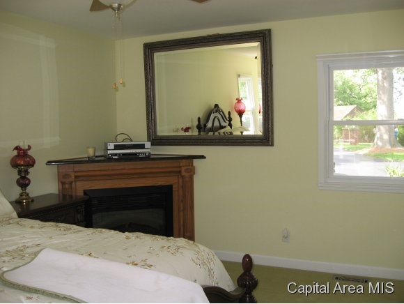 17 Hawthorne Lane Springfield, IL 62712 - Photo 9 of 22 Gallery Image 9