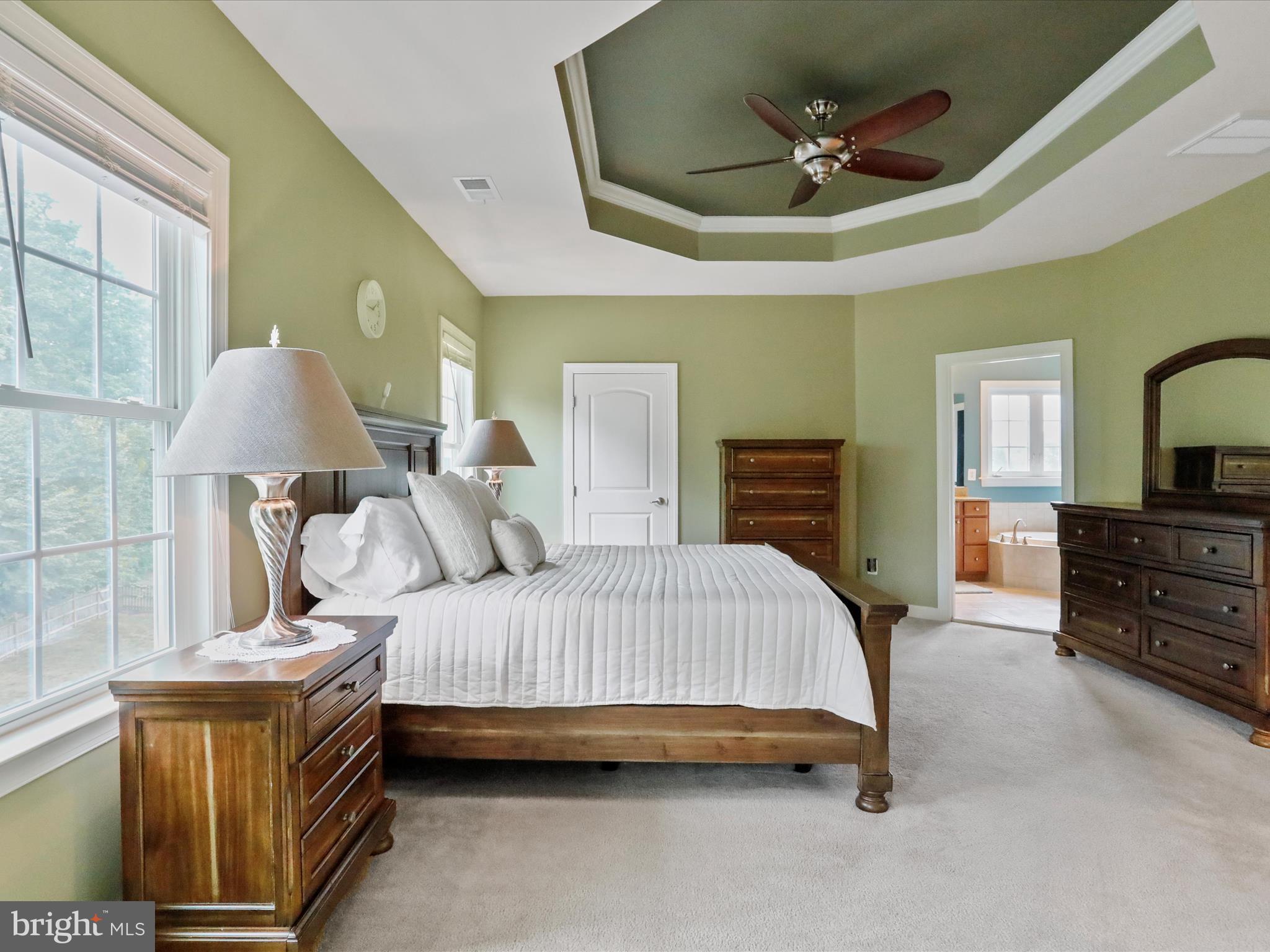 40594 Banshee Drive Leesburg, VA 20175 - Photo 37 of 74 Master Bedroom