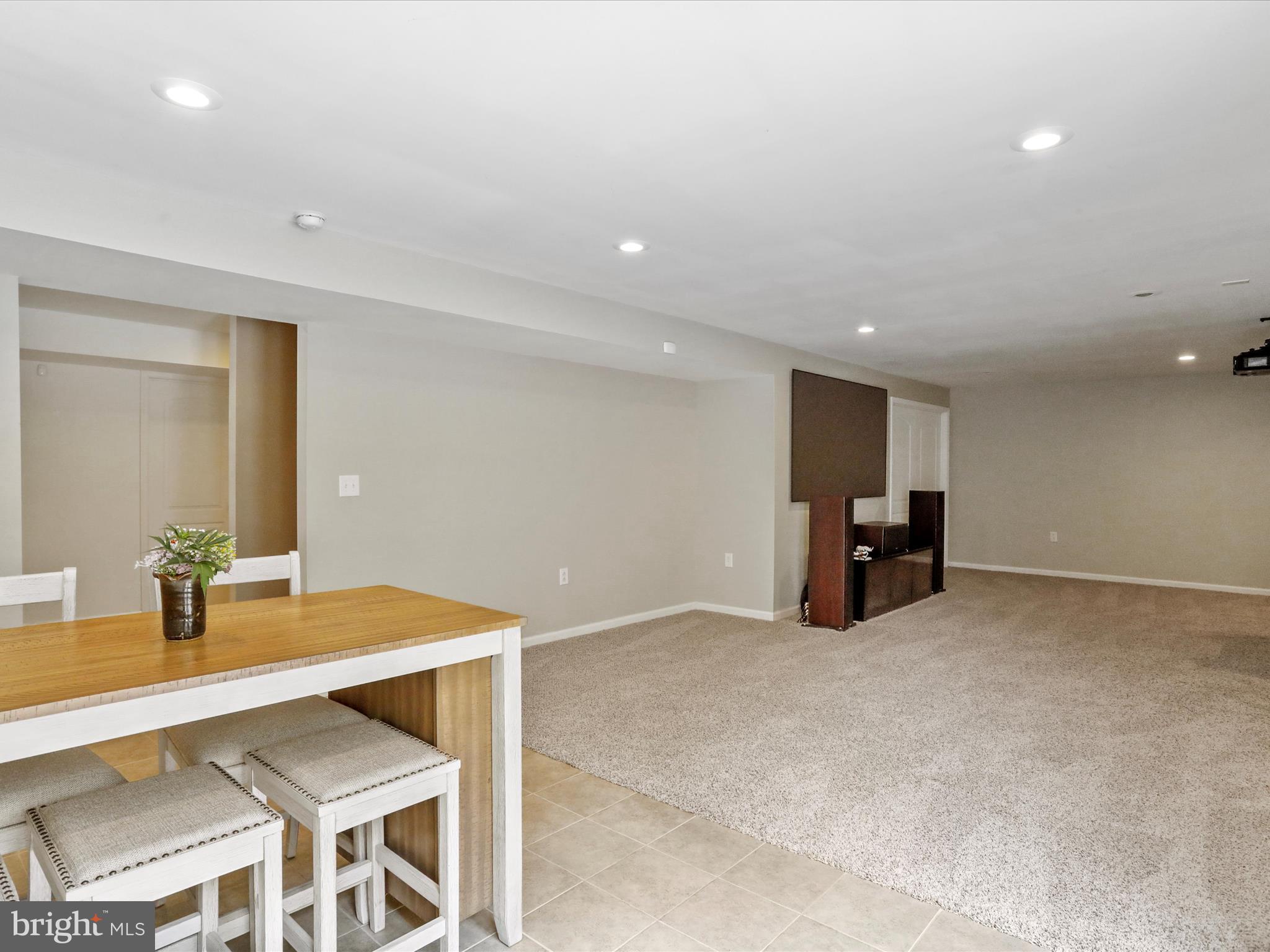 40594 Banshee Drive Leesburg, VA 20175 - Photo 57 of 74 Basement