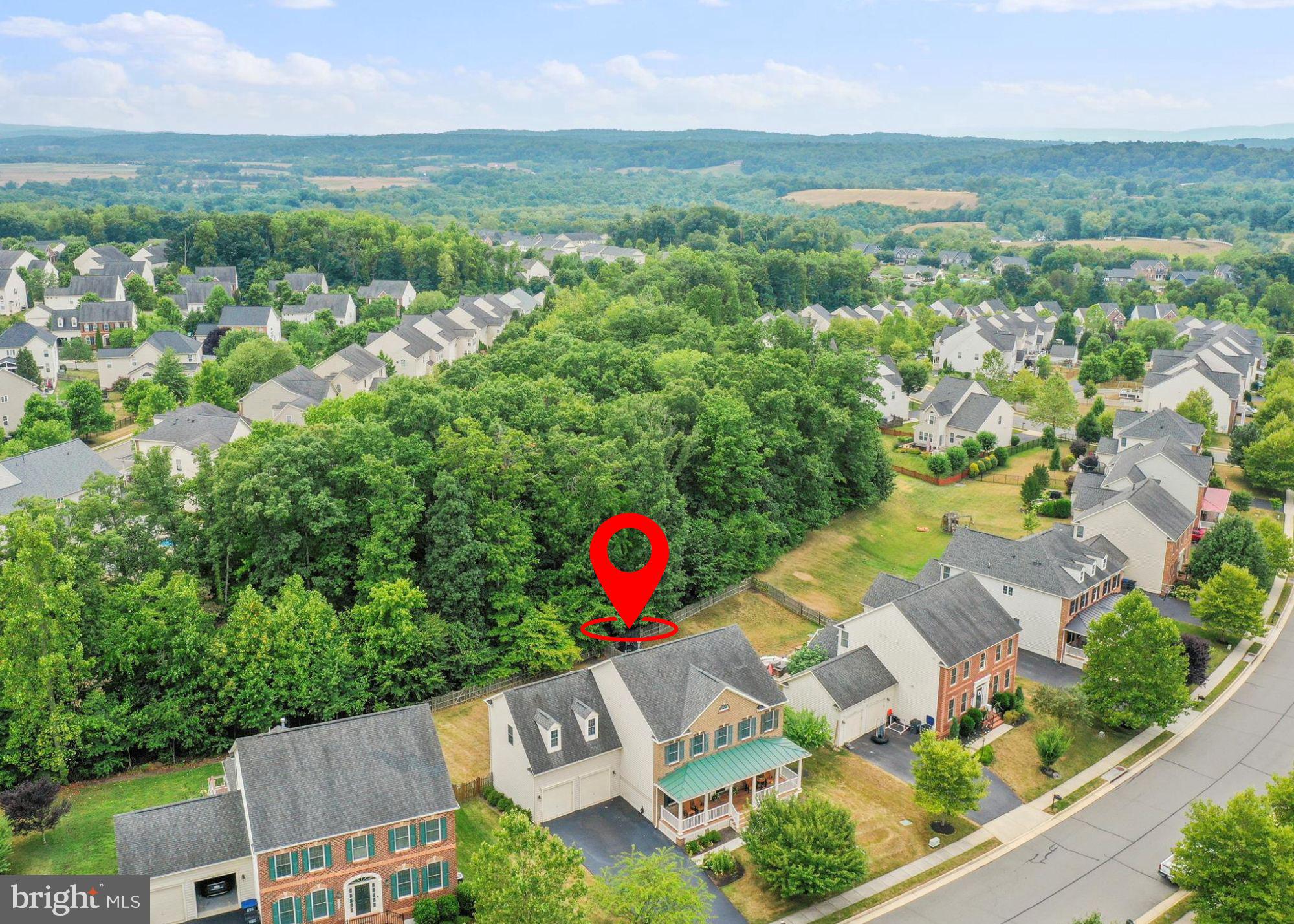 40594 Banshee Drive Leesburg, VA 20175 - Photo 8 of 74 Backs to Trees