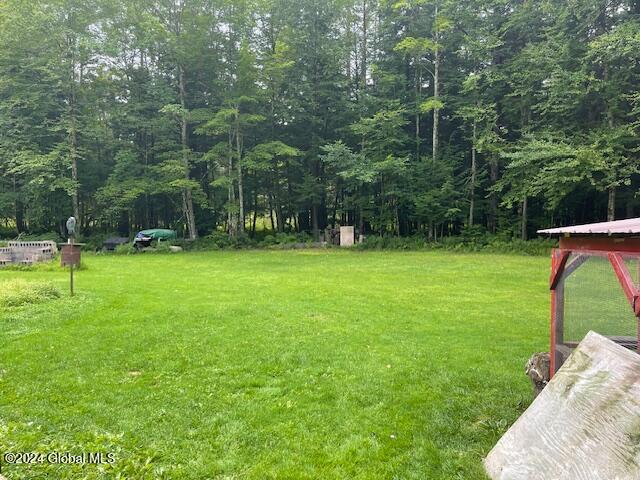 3024 Shaw Road Middle Grove, NY 12850 - Photo 32 of 39 IMG_1669