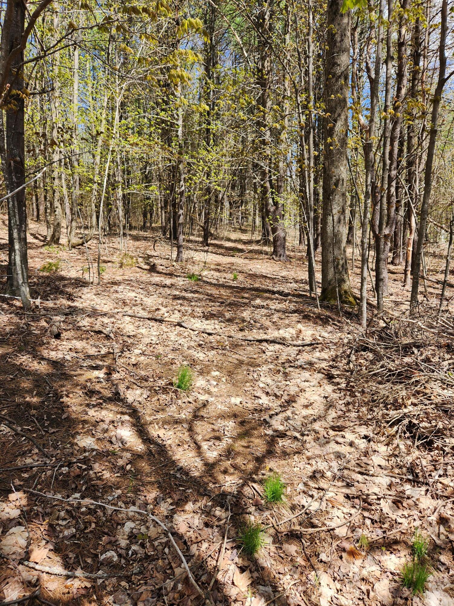 110 Christian Ridge Road South Paris, ME 04281 - Photo 64 of 69 20230506_135722