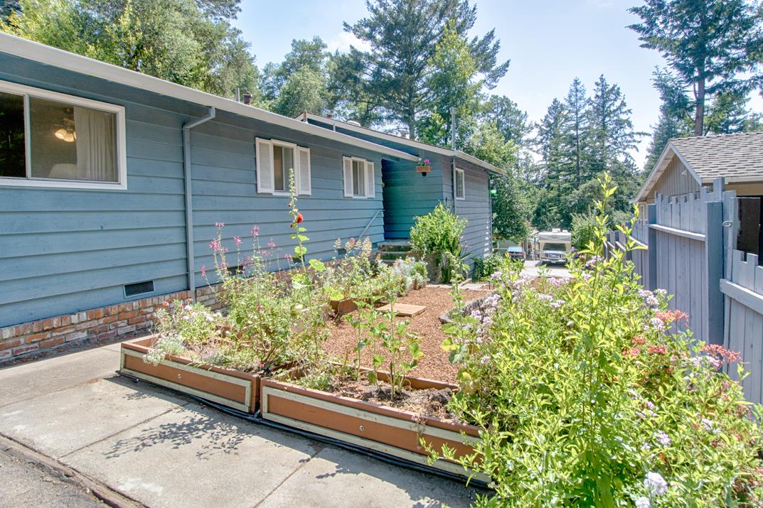7 Plaza Mount Hermon, CA 95041 - Photo 6 of 26 a view of a backyard with plants