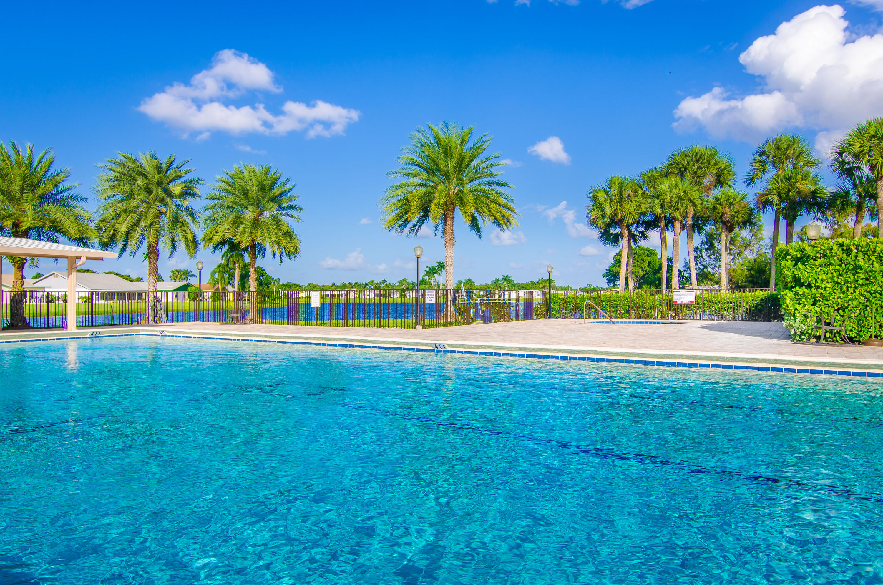 5213 Michael Drive West Palm Beach, FL 33417 - Photo 36 of 47 a view of a swimming pool and a yard