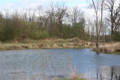 630 Gilead Lake Road Bronson, MI 49028 - Photo 13 of 14 Additional Photo