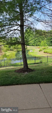 a view of a garden with a bench