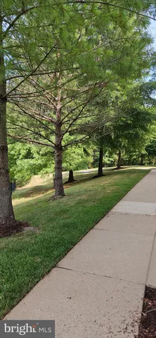 a view of a garden with a tree