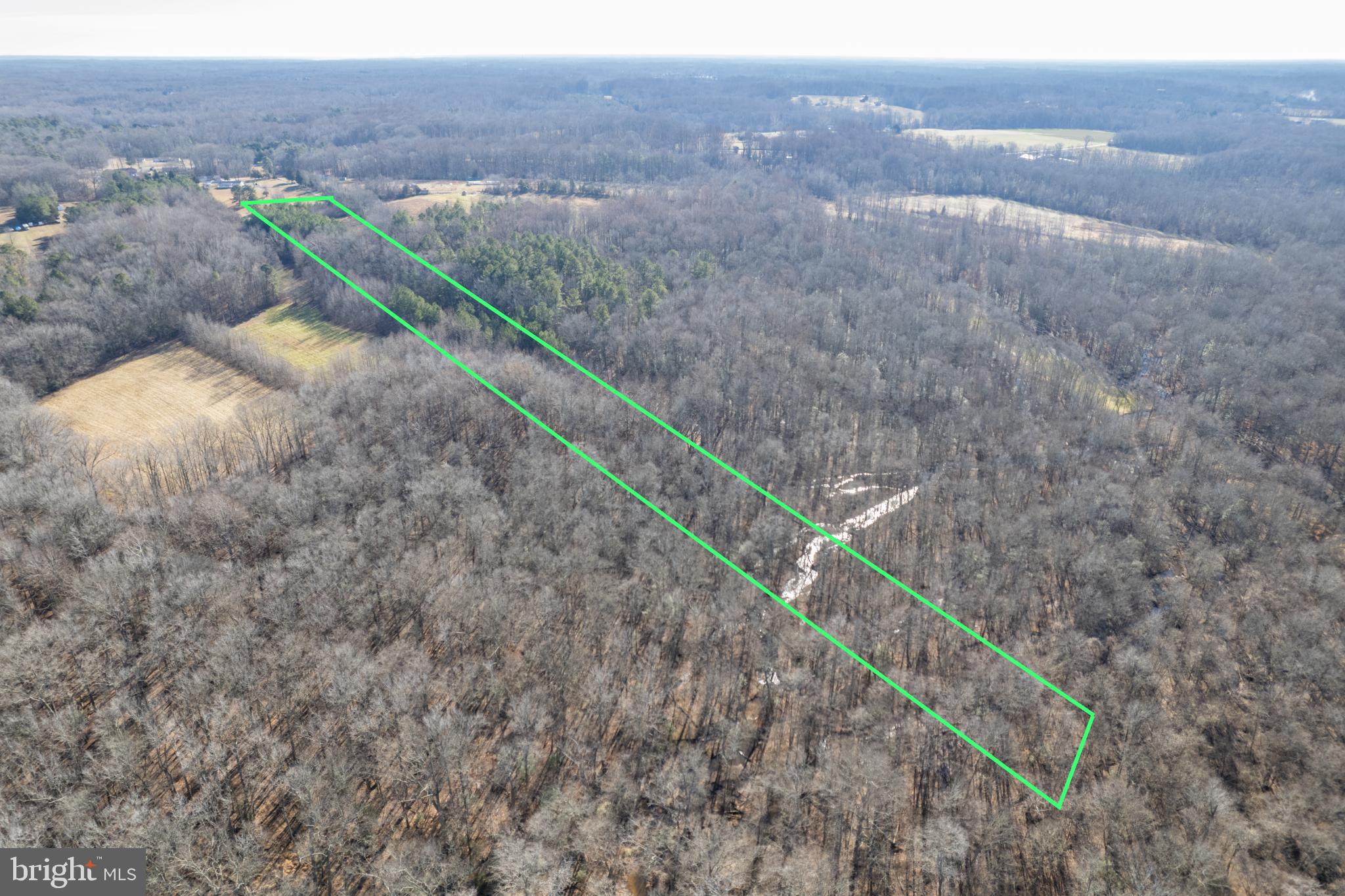 Booth Place Waldorf, MD 20601 - Photo 4 of 10 Expansive wooded land with potential.