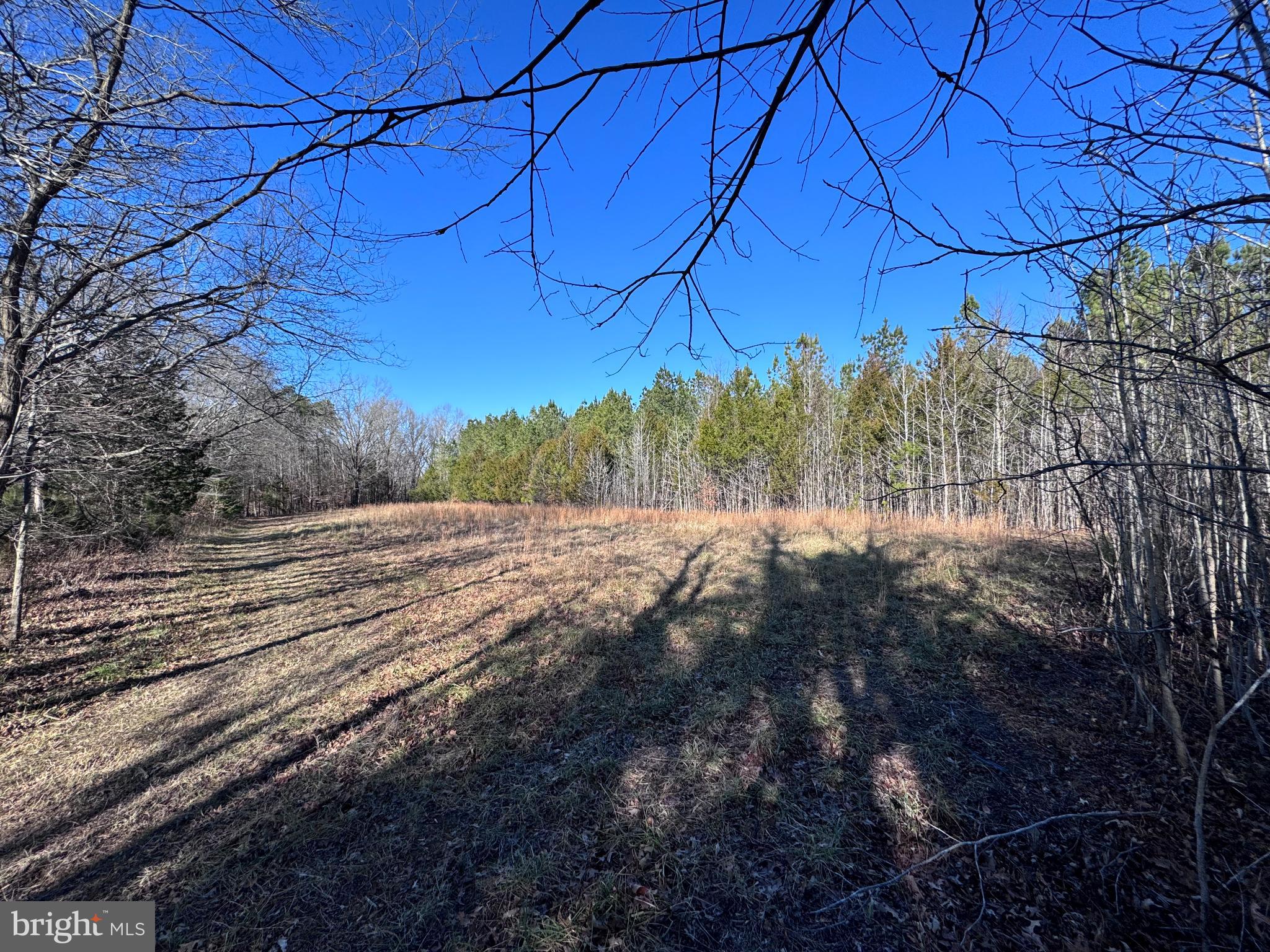 Booth Place Waldorf, MD 20601 - Photo 7 of 10 Serene woodland clearing under a blue sky.