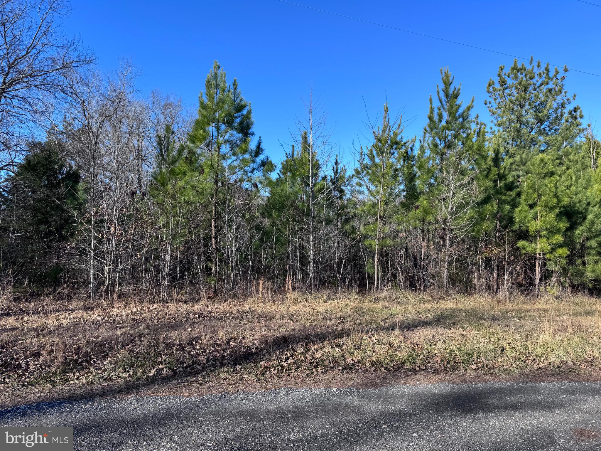 Booth Place Waldorf, MD 20601 - Photo 10 of 10 Lush greenery meets open sky tranquility.