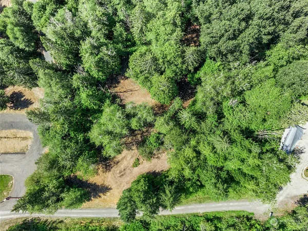 an aerial view of residential house with outdoor space and trees all around
