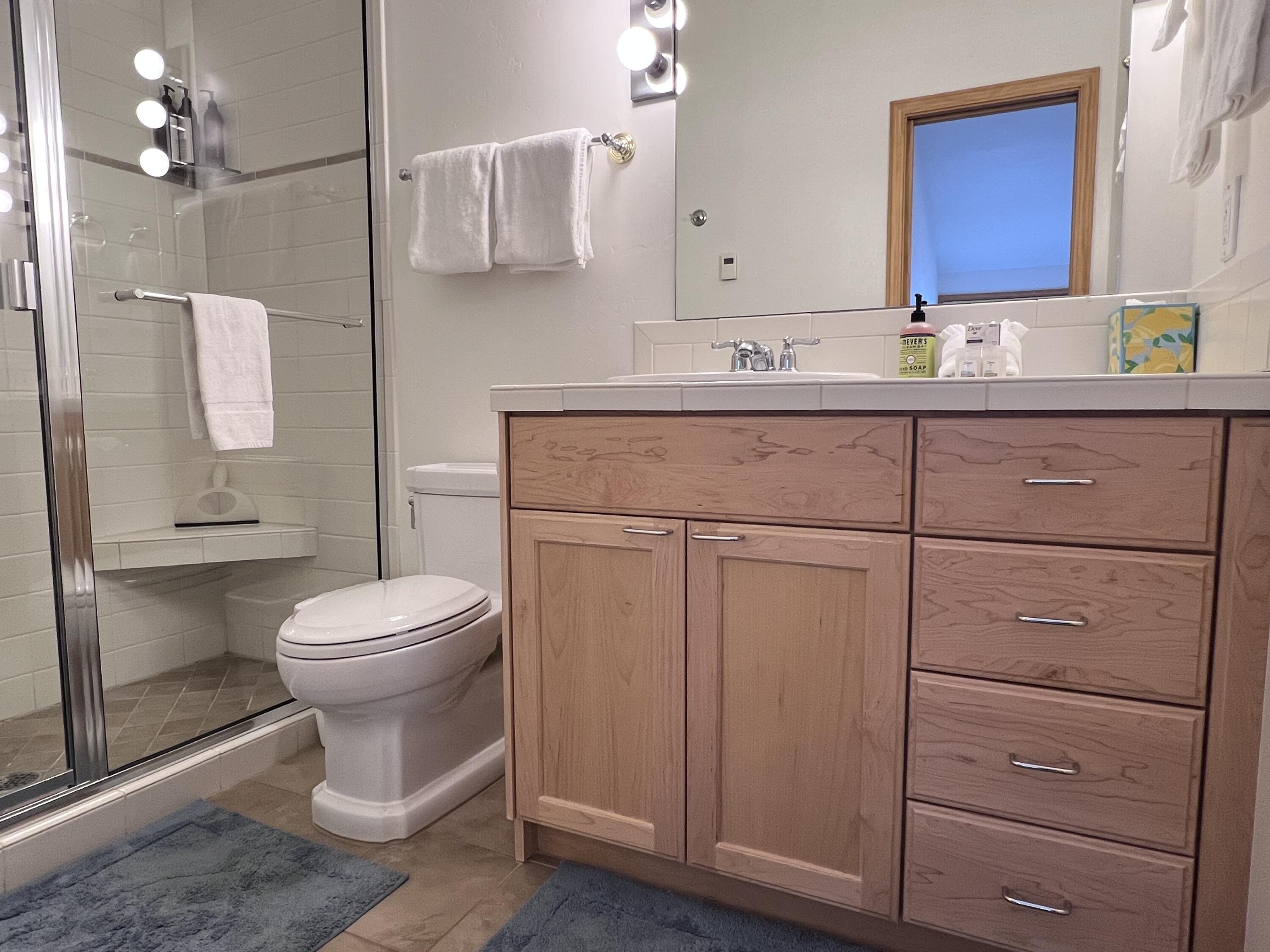 119 Picabo Street, Unit B4 / B5 Ketchum, ID 83340 - Photo 18 of 22 IMG_3563