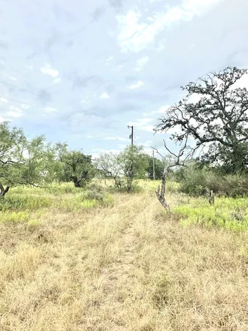 a view of a yard with an trees