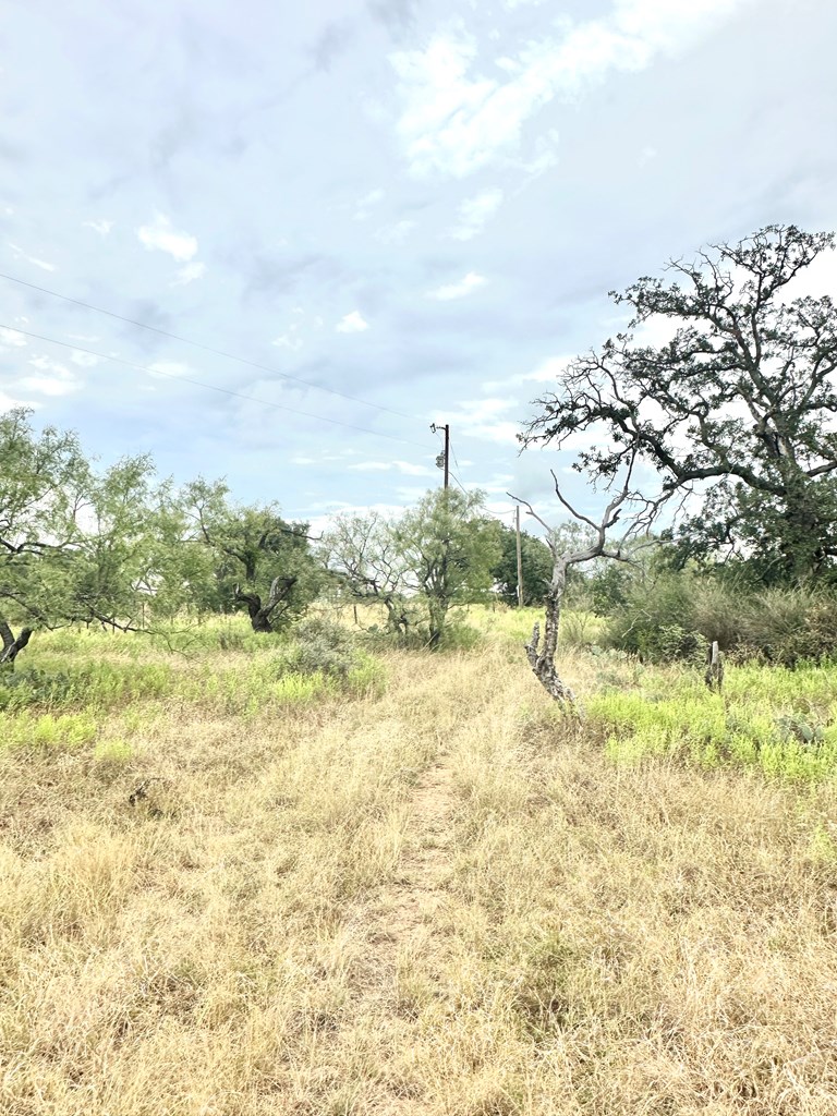 Lot 2-phase Kothman Road, Unit 2 Art, TX 76820 - Photo 4 of 10 Gallery Image 4