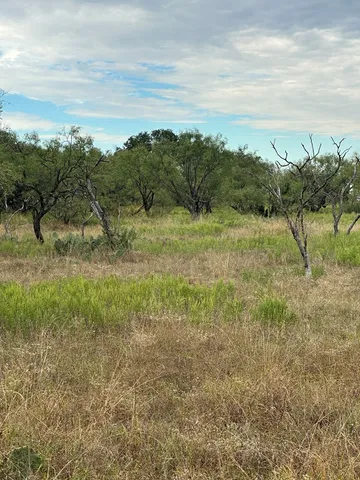 a view of a field of grass and trees