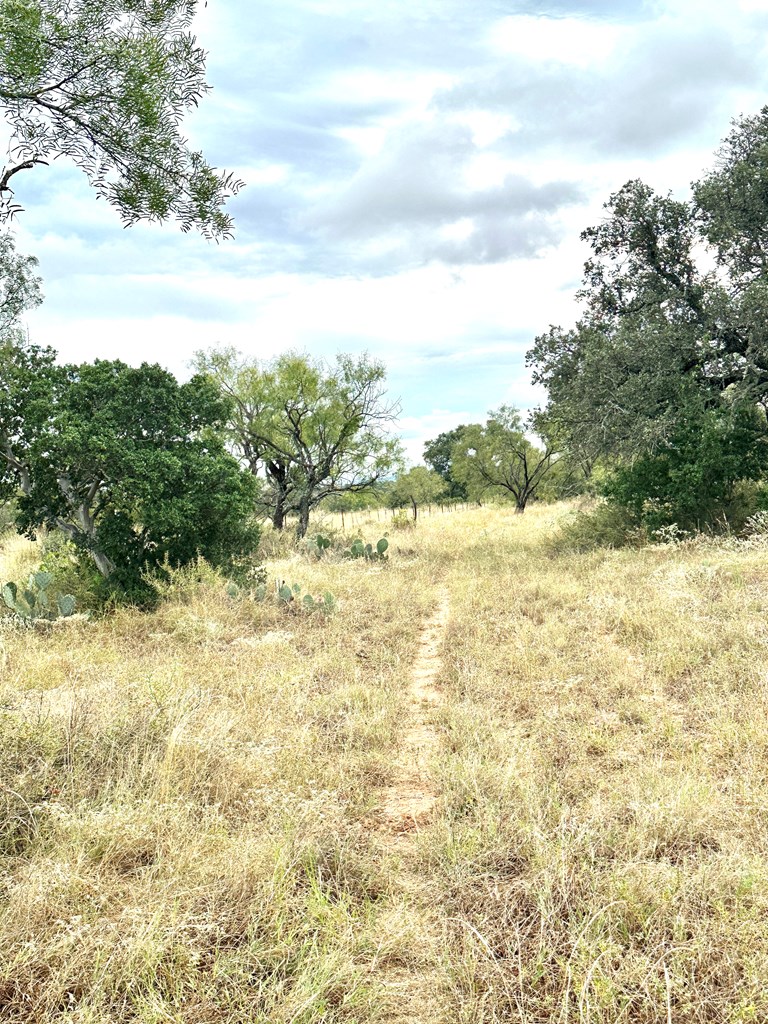 Lot 2-phase Kothman Road, Unit 2 Art, TX 76820 - Photo 8 of 10 Gallery Image 8
