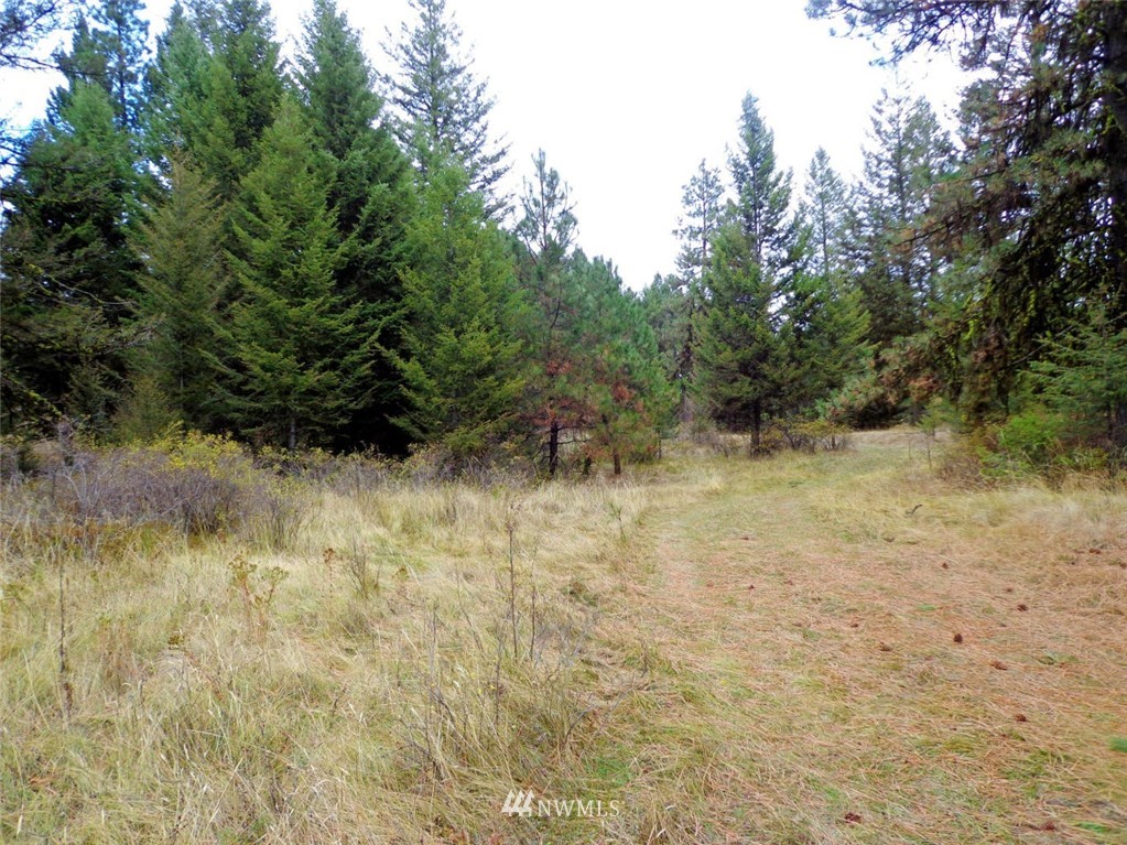 55 Diginity Ranch Road Republic, WA 99166 - Photo 2 of 7 Gallery Image 2