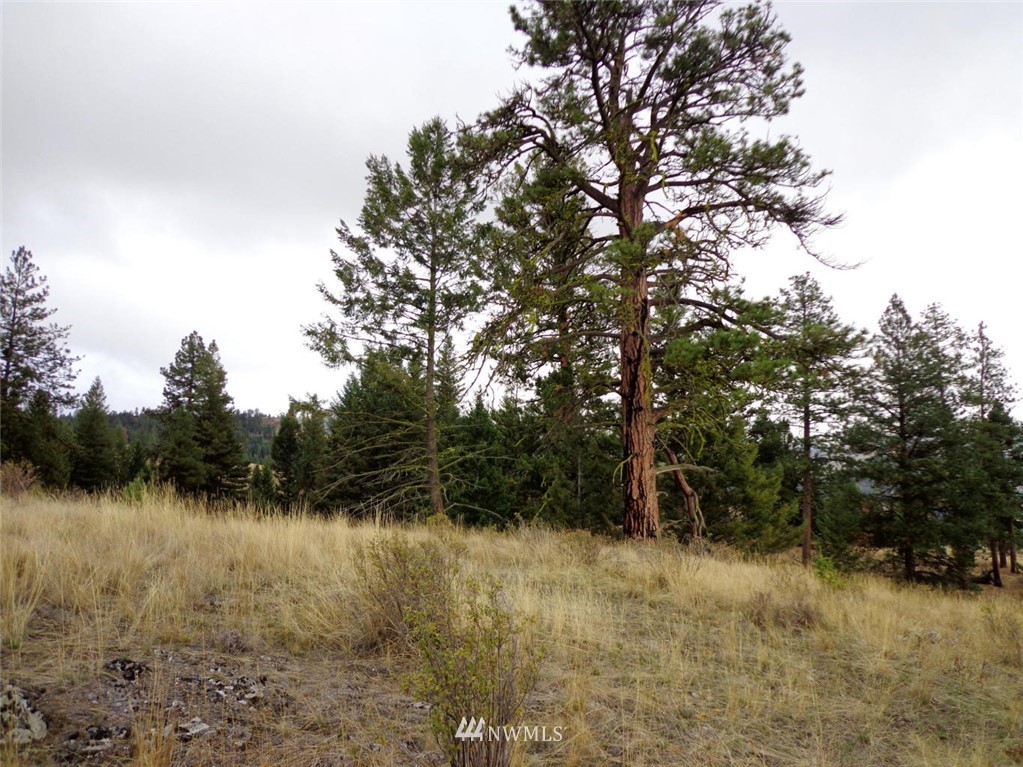 55 Diginity Ranch Road Republic, WA 99166 - Photo 7 of 7 Gallery Image 7