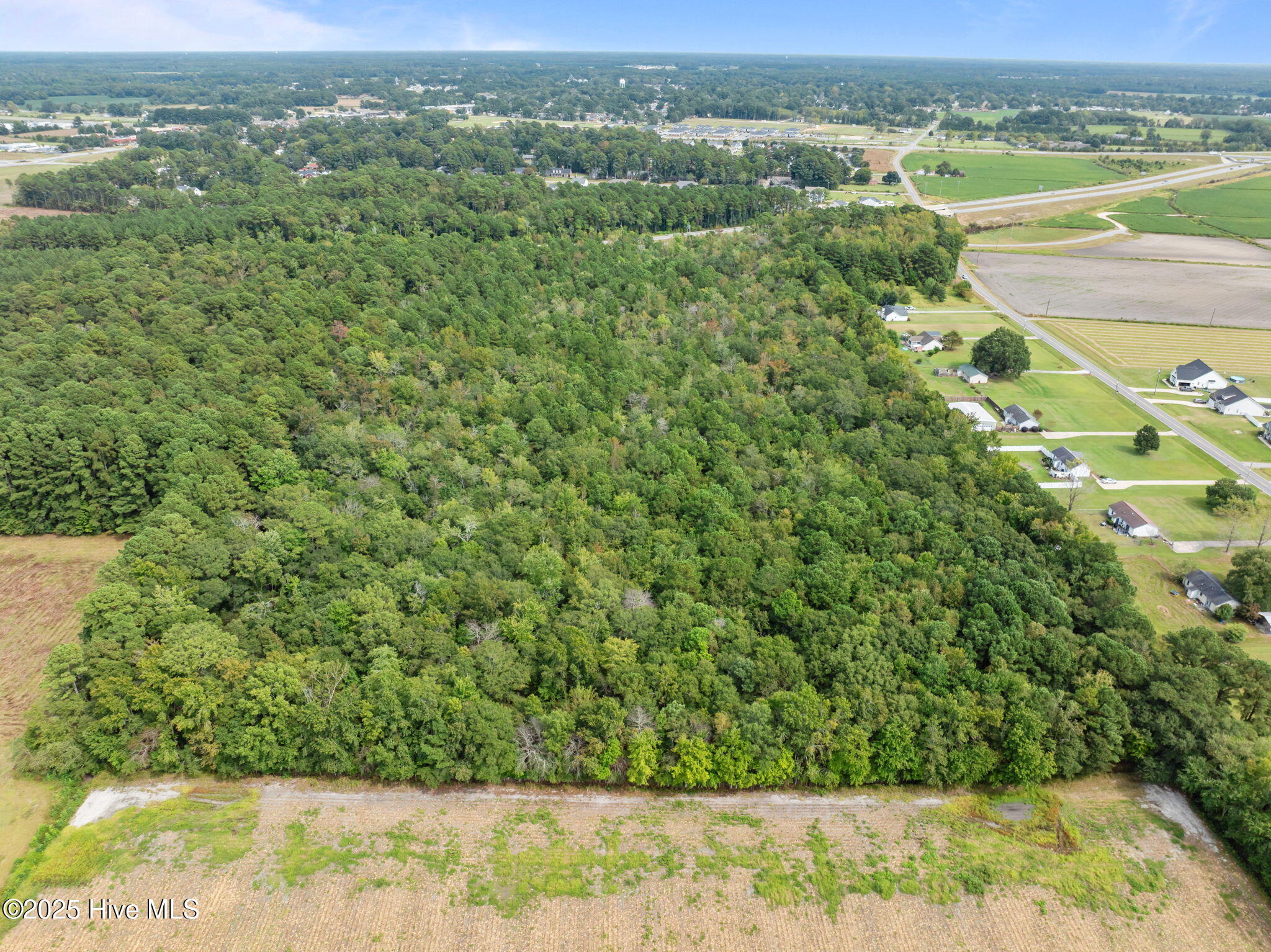 0 Pleasant Plain Road Ayden, NC 28513 - Photo 11 of 17 9-web-or-mls-DJI_0331