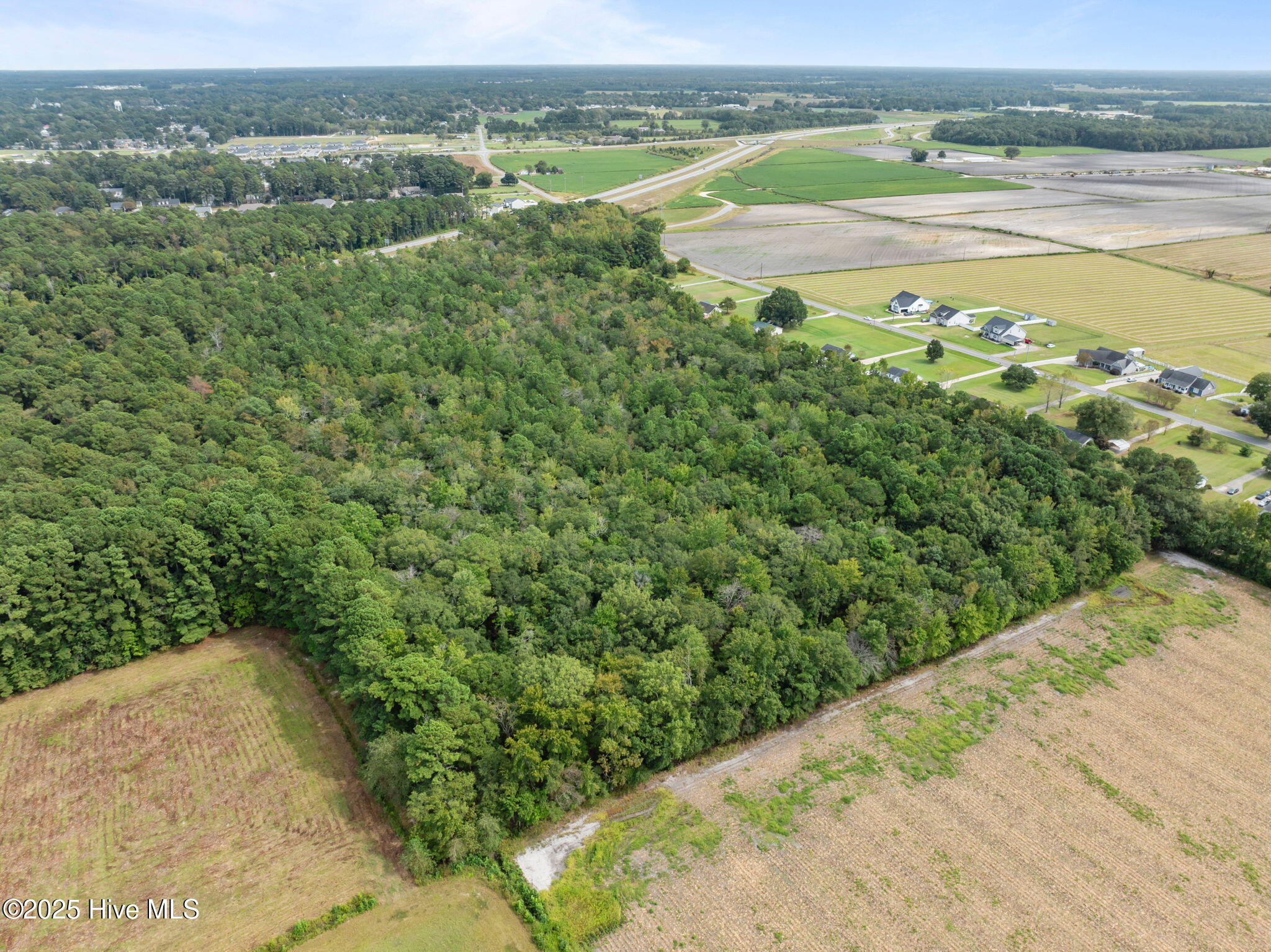 0 Pleasant Plain Road Ayden, NC 28513 - Photo 12 of 17 10-web-or-mls-DJI_0332
