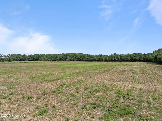 $195,000 | 0 Pleasant Plain Road, Ayden, NC 28513