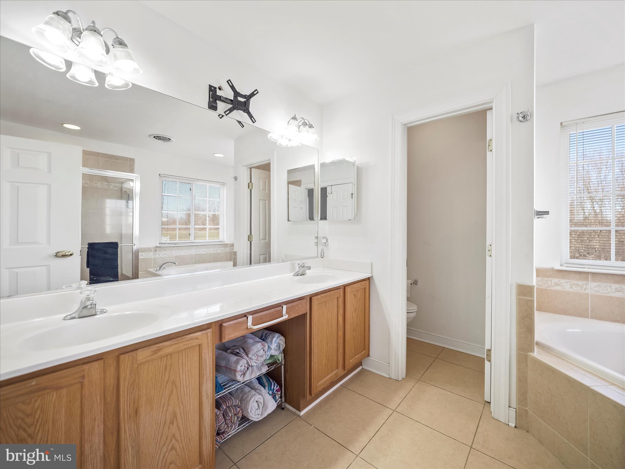 8935 Harper Drive Waynesboro, PA 17268 - Photo 26 of 46 a bathroom with a sink vanity and a mirror