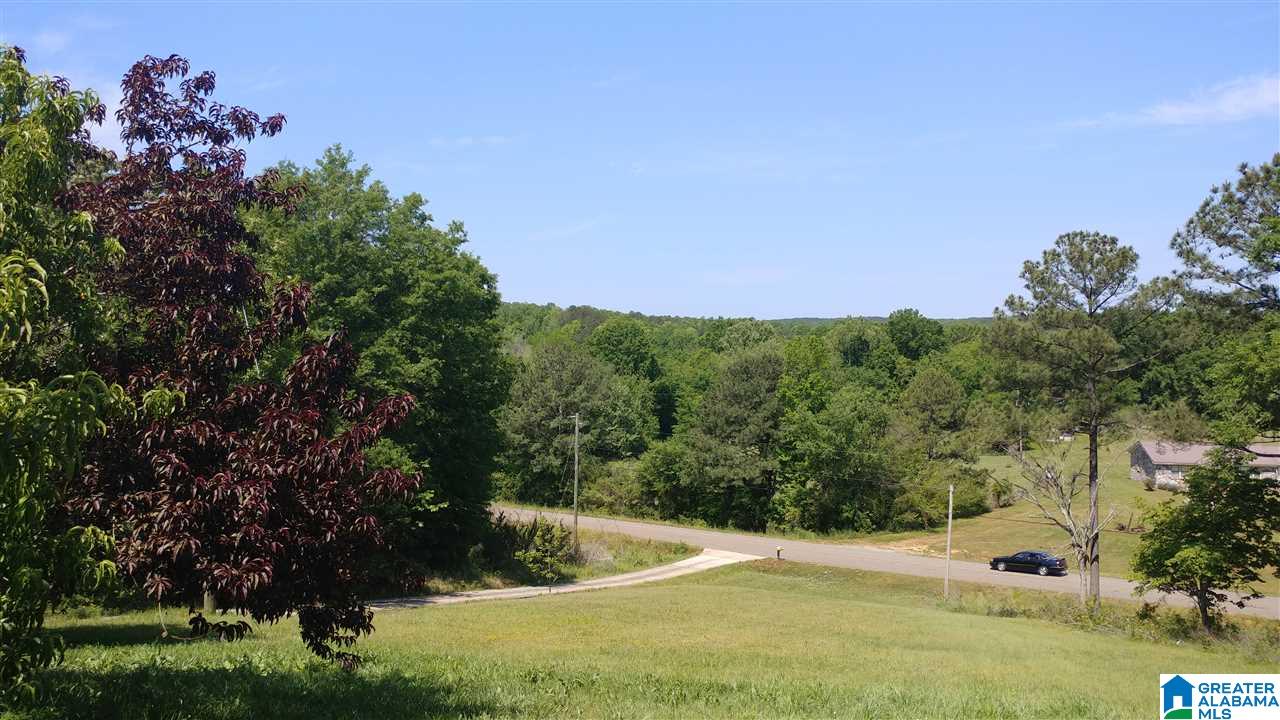 4130 Howells Cove Road Talladega, AL 35160 - Photo 13 of 18