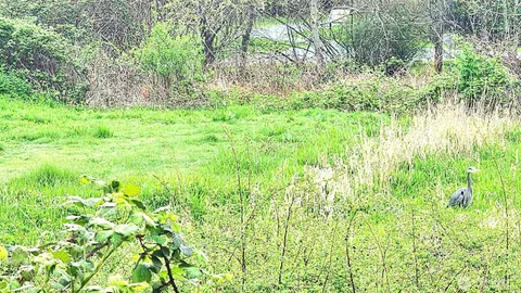 $335,000 | 485 Southwest Bayshore Drive, Unit C301, Oak Harbor, WA 98277