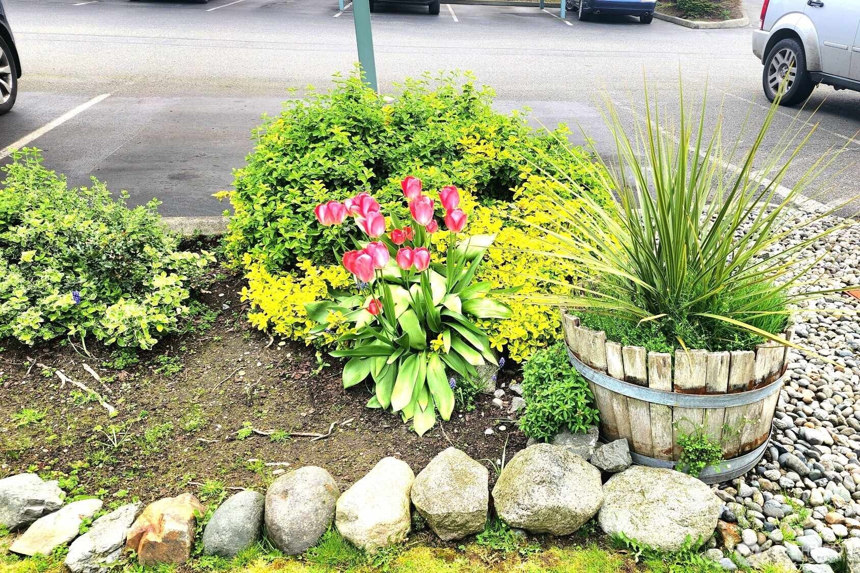 485 Southwest Bayshore Drive, Unit C301 Oak Harbor, WA 98277 - Photo 39 of 40 a vase of flowers sitting on a table