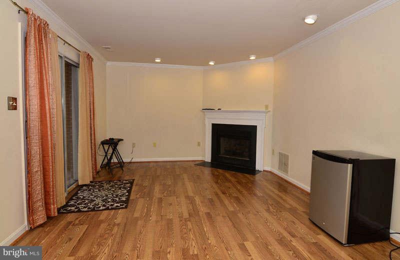21064 View Glass Terrace Sterling, VA 20164 - Photo 20 of 29 Basement