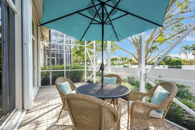 a view of a yard with plants and large trees