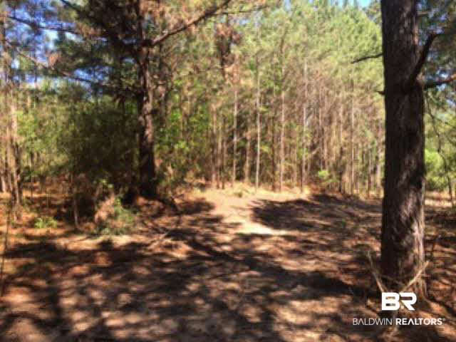 38540 County Road 39 Stapleton, AL 36578 - Photo 9 of 15