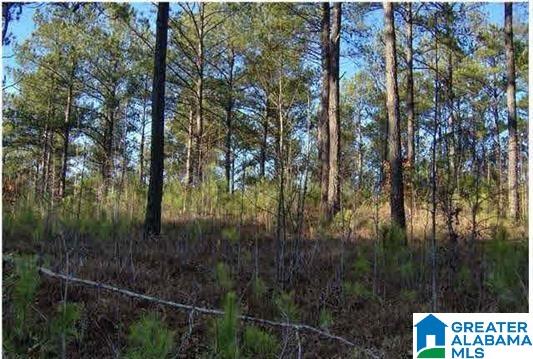 100 County Road 67, Unit 22 ACRES Calera, AL 35040 - Photo 1 of 1