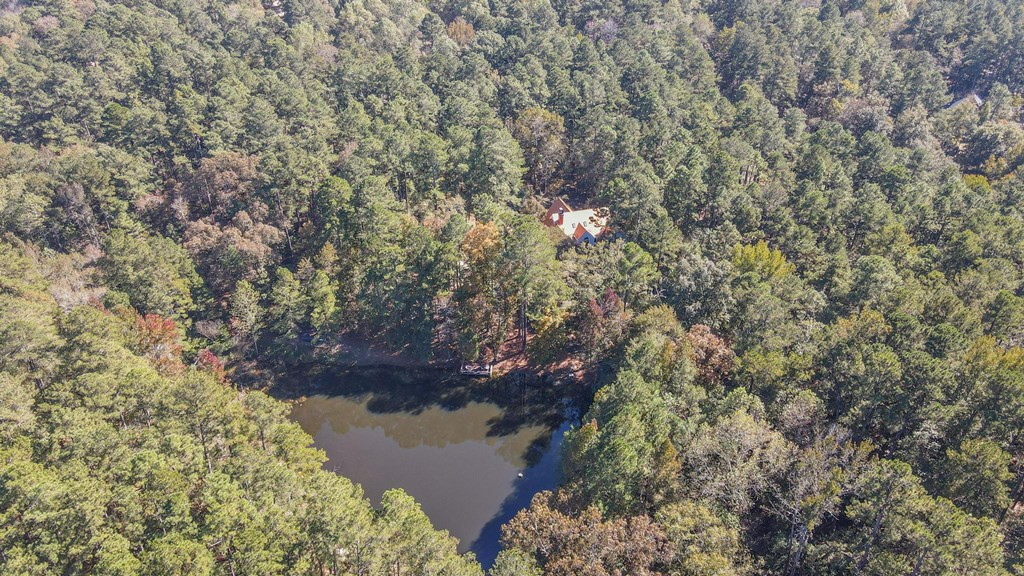 1109 Richardsons Lake Road Aiken, SC 29803 - Photo 13 of 66