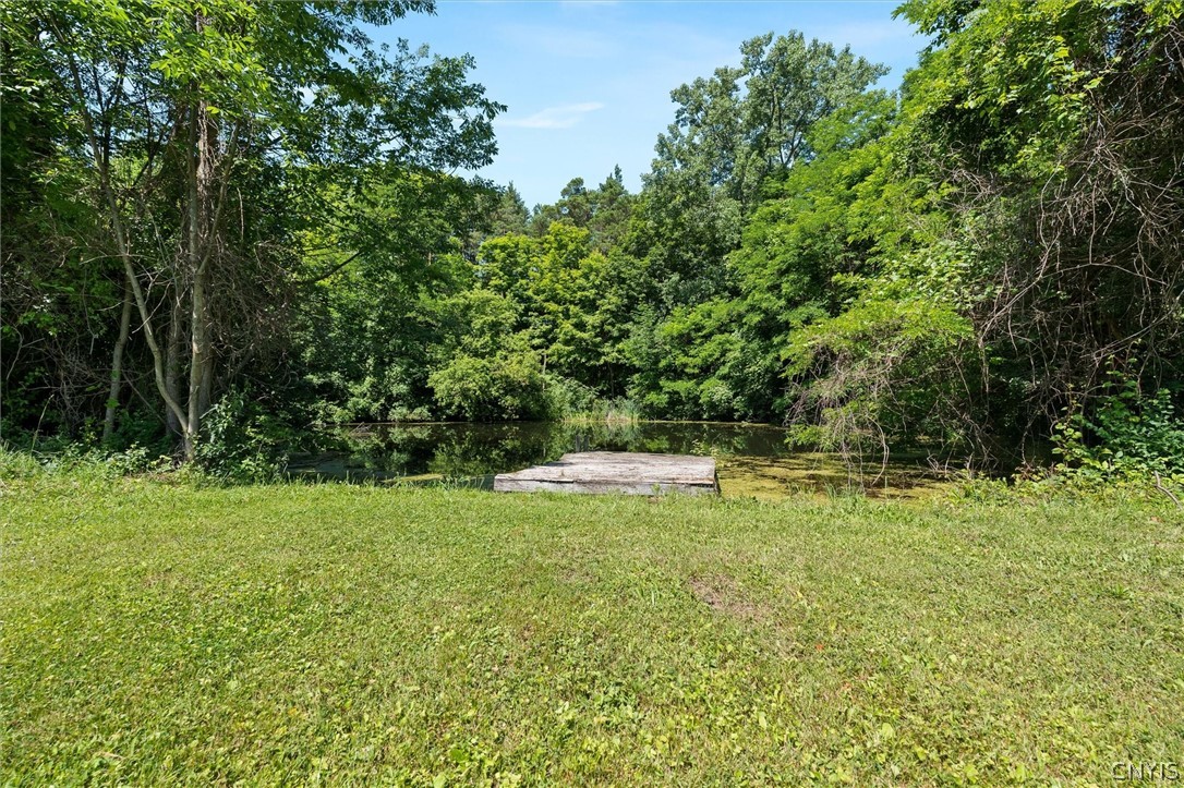 1631 Albring Road Skaneateles, NY 13152 - Photo 42 of 50