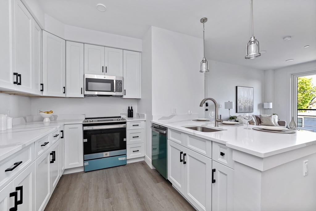 64 Alpine Street, Unit 202 Boston, MA 02119 - Photo 2 of 10 Gallery Image 2