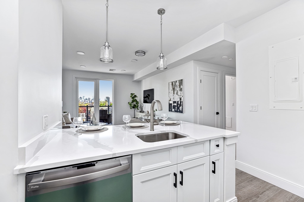 64 Alpine Street, Unit 202 Boston, MA 02119 - Photo 3 of 10 Gallery Image 3