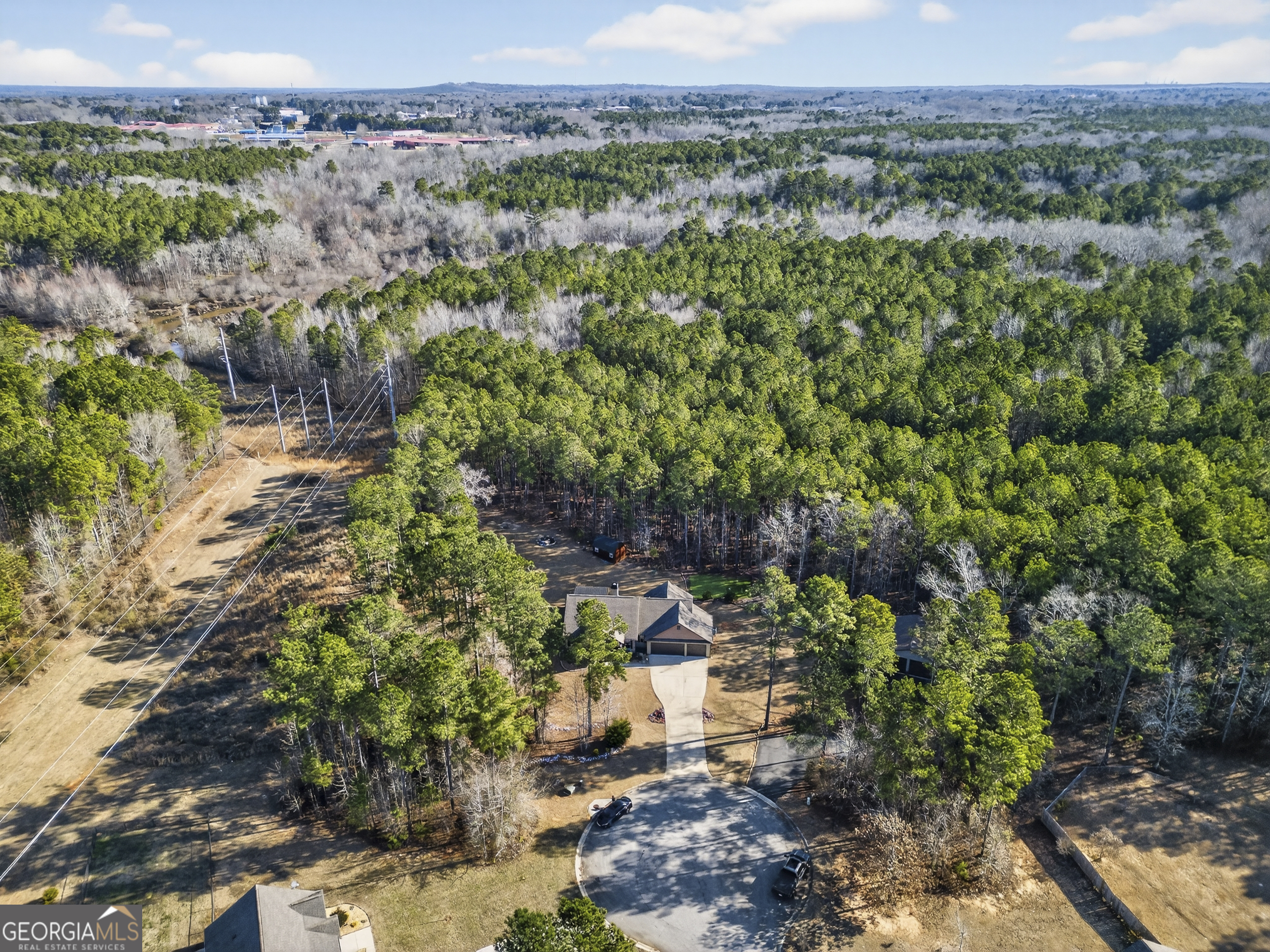 255 Needleleaf Drive Barnesville, GA 30204 - Photo 43 of 47 a view of a lush green forest with trees and some houses
