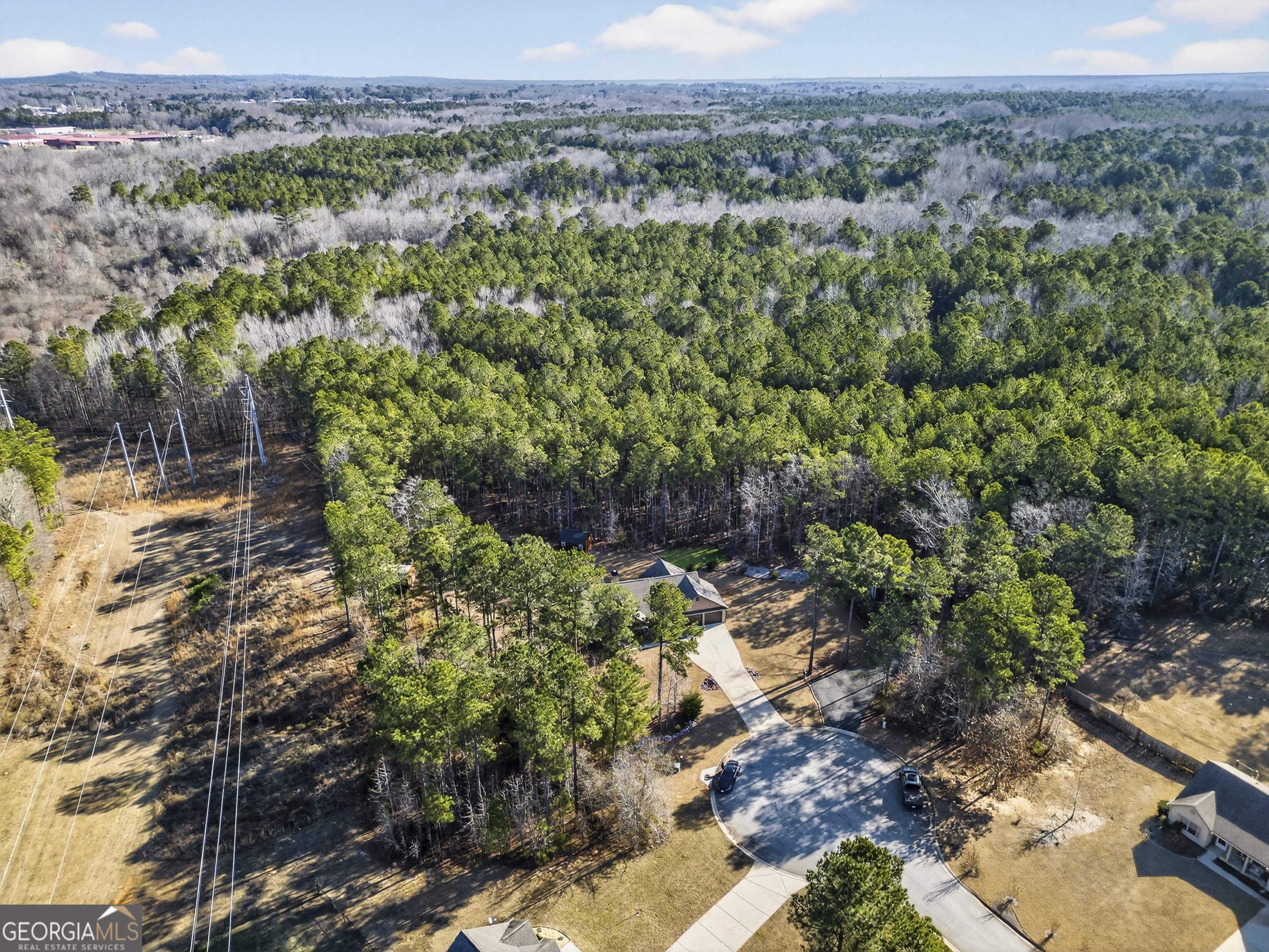 255 Needleleaf Drive Barnesville, GA 30204 - Photo 44 of 47 a view of a forest with a street