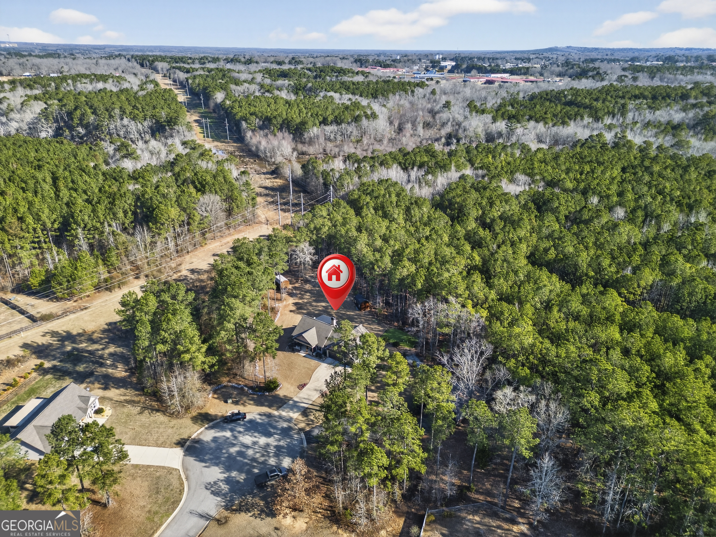 255 Needleleaf Drive Barnesville, GA 30204 - Photo 47 of 47 a view of a area with lots of trees