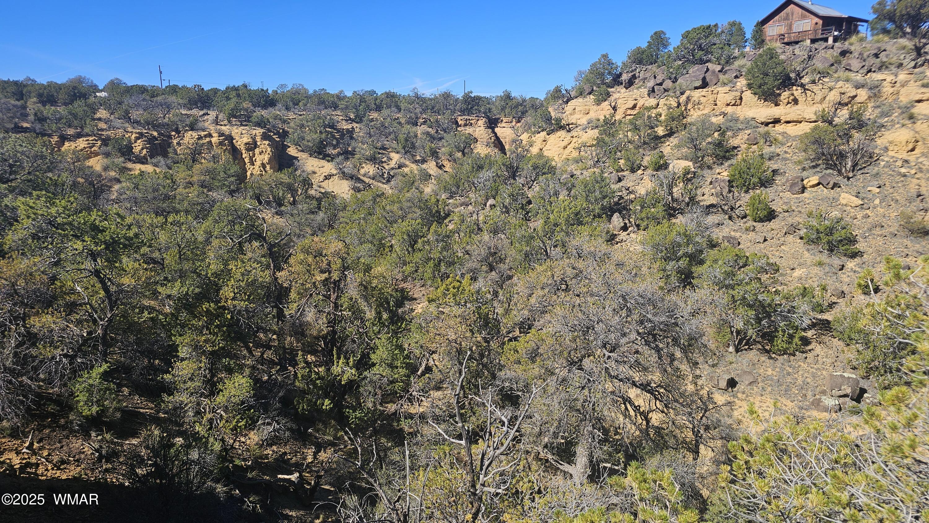 4 County Road Concho, AZ 85924 - Photo 14 of 28