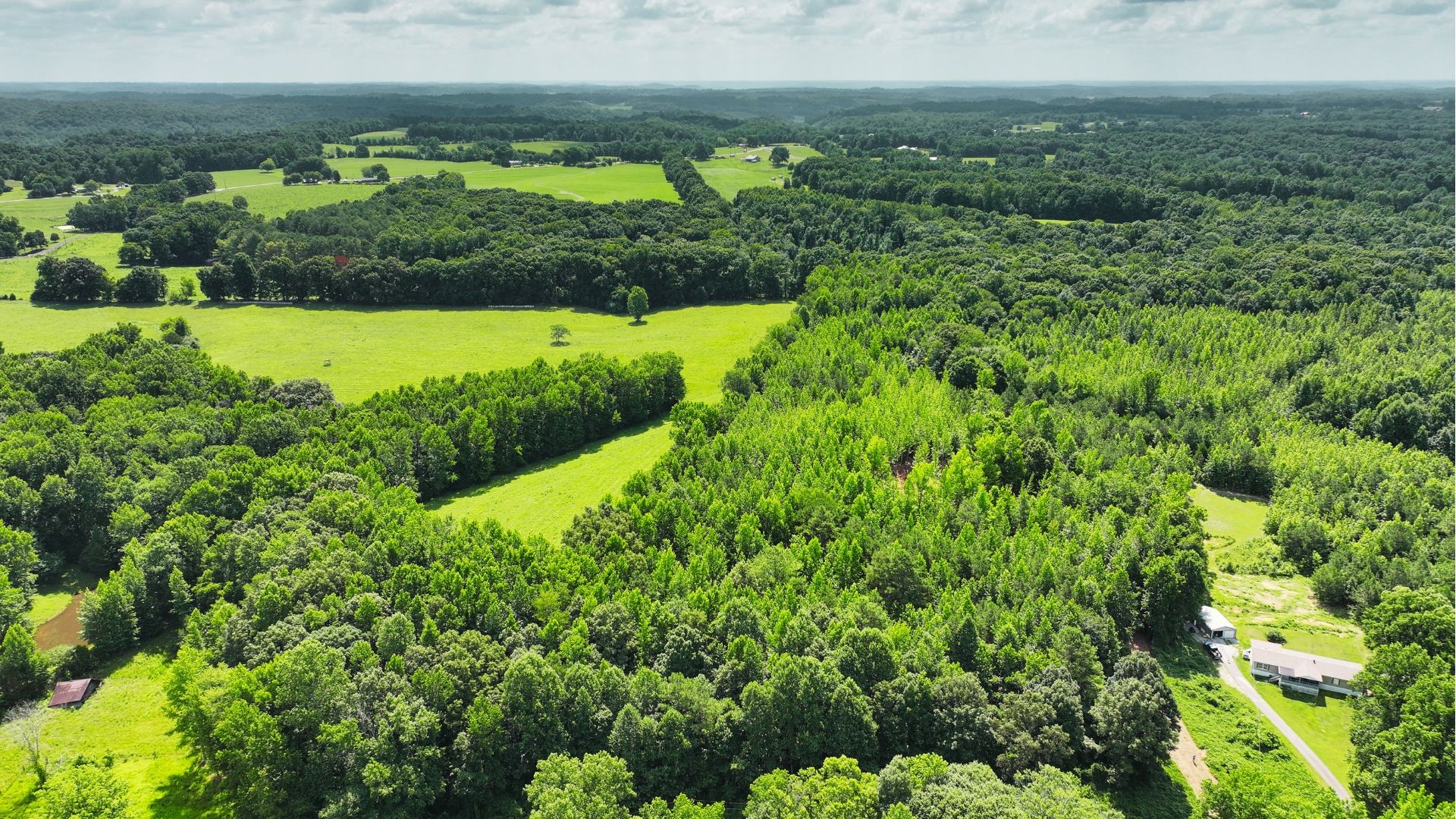 0 Davis Hollow Road Minor Hill, TN 38473 - Photo 21 of 23