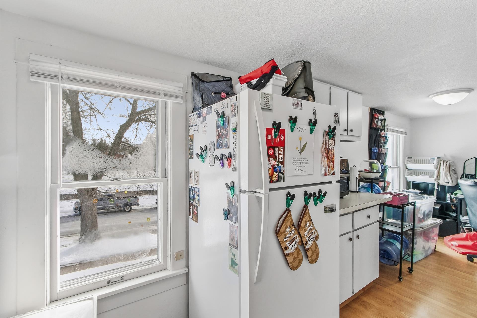 435 8th Street Baraboo, WI 53913 - Photo 9 of 43