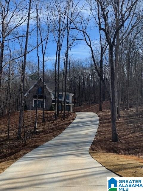 345 Timberview Trail Chelsea, AL 35043 - Photo 1 of 15