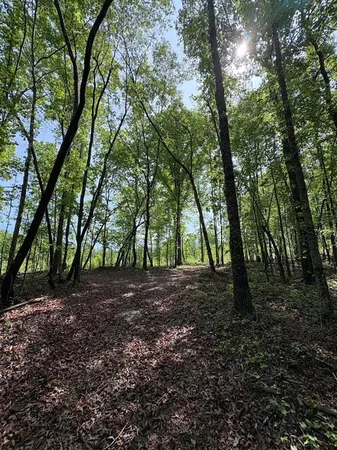 $299,000 | 0 Roy Dean Road, Buchanan, GA 30113