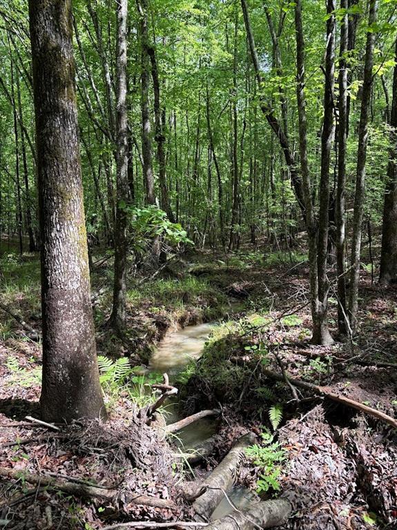 0 Roy Dean Road Buchanan, GA 30113 - Photo 11 of 24