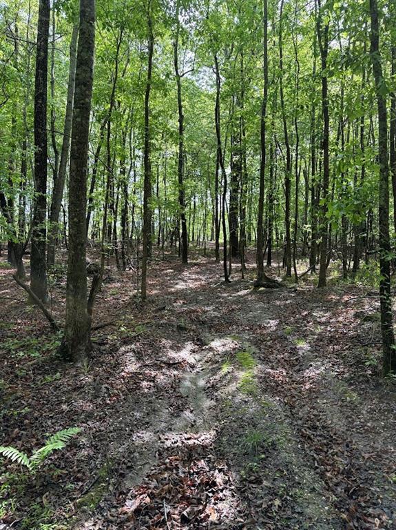 0 Roy Dean Road Buchanan, GA 30113 - Photo 12 of 24
