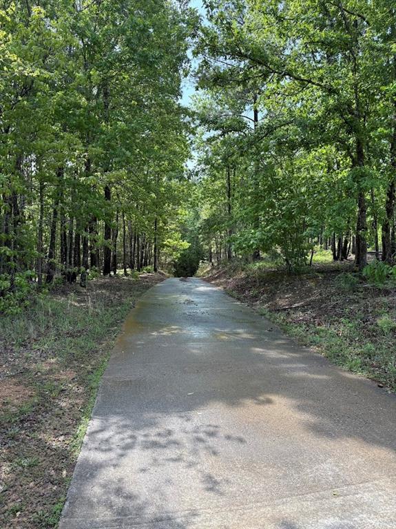 0 Roy Dean Road Buchanan, GA 30113 - Photo 16 of 24