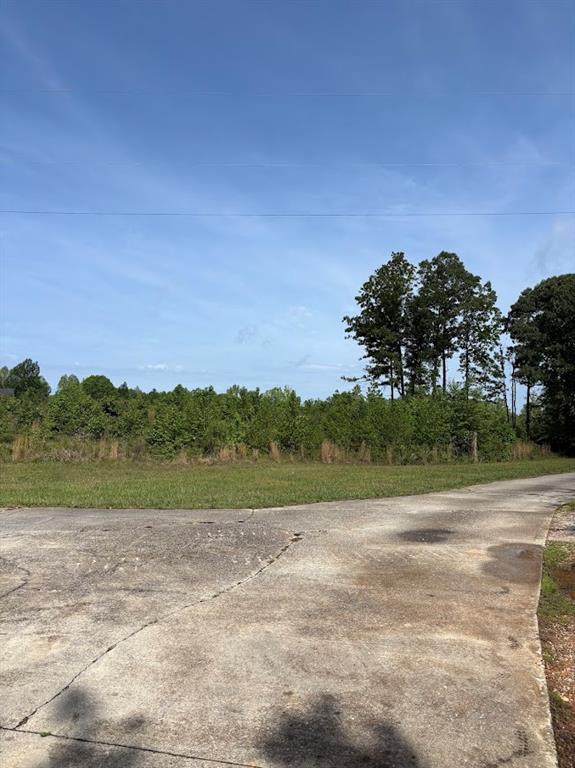 0 Roy Dean Road Buchanan, GA 30113 - Photo 17 of 24